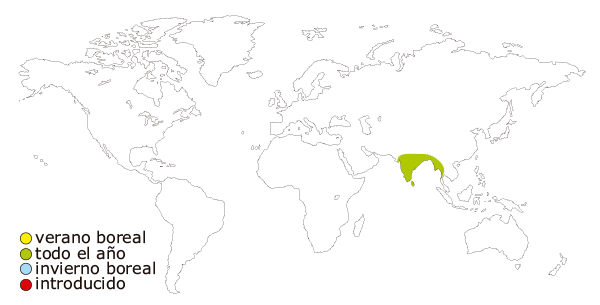 Mapa de distribución mundial del Pez cebra, cebrita, barbo cebra (Brachydanio rerio, Danio rerio)